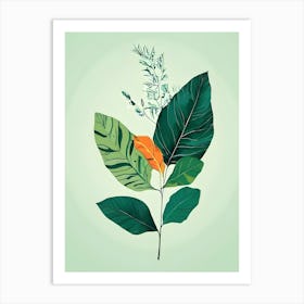 Botanical Illustration 1 Art Print