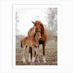 Mama And Baby Horse Art Print