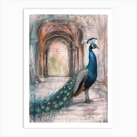 Peacock In A Palace Sketch Art Print