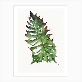 Holly Fern Watercolour Art Print