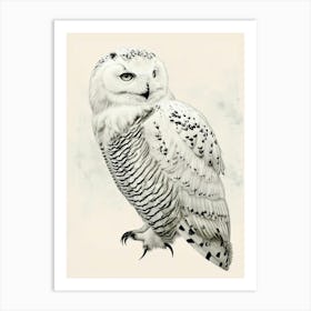 Snowy Owl Vintage Illustration 1 Art Print