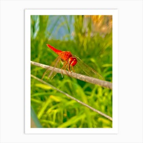 Dragonfly on a tree branch Art Print