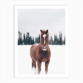 Horse In Snow Art Print