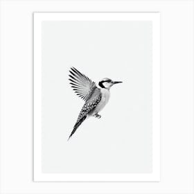 Woodpecker B&W Pencil Drawing 3 Bird Art Print
