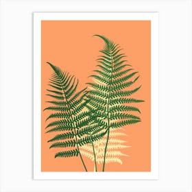 Fern Plant Minimalist Illustration 8 Art Print
