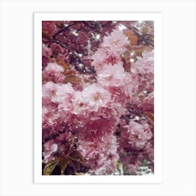 Sakura Oil Painting Flowers Art Print