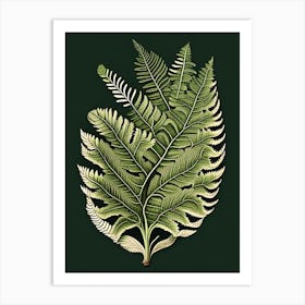 Southern Shield Fern 1 Vintage Botanical Poster Art Print