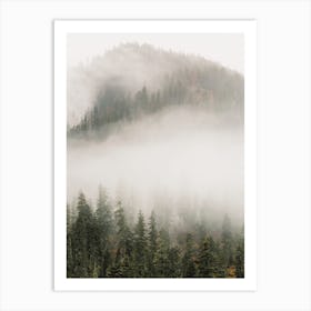 Foggy Forest Mountain Art Print