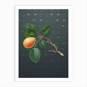 Vintage Pear Botanical on Slate Gray Pattern n.1647 Art Print