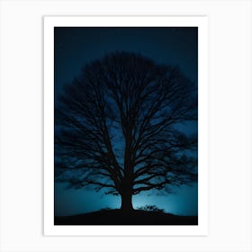 Silhouette Of A Tree At Night Art Print