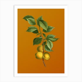 Vintage Briancon Apricot Botanical on Sunset Orange n.0273 Art Print