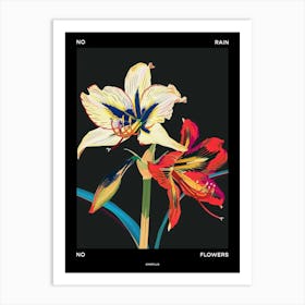 No Rain No Flowers Poster Amaryllis 2 Art Print