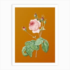 Vintage Cabbage Rose Botanical on Sunset Orange Art Print