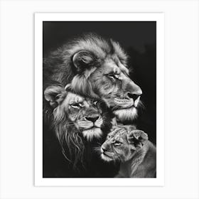 Barbary Lion Charcoal Drawing Family Bonding 1 Art Print