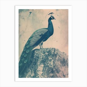 Vintage Turquoise Peacock On A Rock Photography Style 3 Art Print