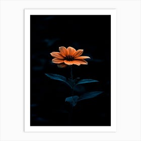 Dark Flower Art Print