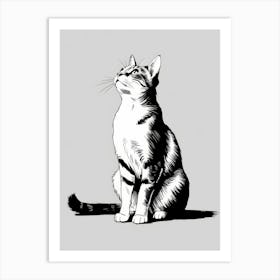 Cat Sitting 1 Art Print