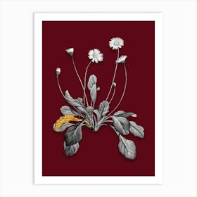 Vintage Daisy Flowers Black and White Gold Leaf Floral Art on Burgundy Red n.0167 Art Print