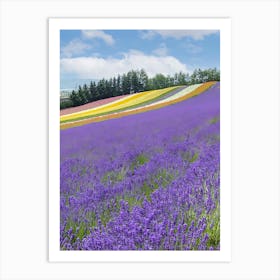 Lavender Field 7 Art Print