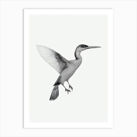 Cormorant B&W Pencil Drawing 2 Bird Art Print