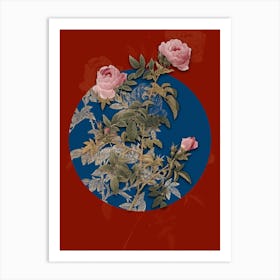 Vintage Botanical Rose of the Hedges on Circle Blue on Red n.0060 Art Print