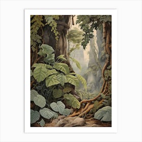 Vintage Jungle Botanical Illustration Philodendron 4 Art Print