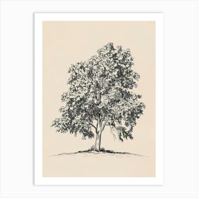 Elm Tree Minimalistic Drawing 1 Art Print