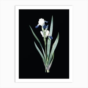 Vintage Tall Bearded Iris Botanical Illustration on Solid Black n.0708 Art Print
