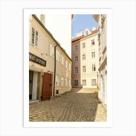 Cobblestone Street In Vienna Art Print