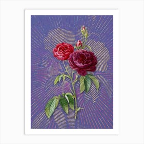 Vintage Purple Roses Botanical Illustration on Veri Peri n.0331 Art Print