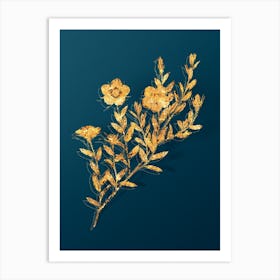 Vintage Vintage Rosa Persica Botanical in Gold on Teal Blue n.0284 Art Print