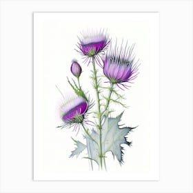 Thistle Floral Quentin Blake Inspired Illustration 1 Flower Art Print