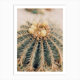 Desert Barrel Cactus Art Print