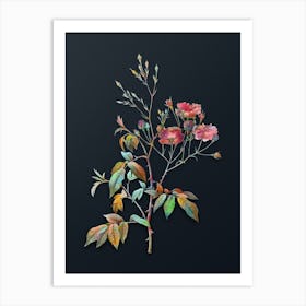 Vintage Pink Noisette Roses Botanical Watercolor Illustration on Dark Teal Blue n.0330 Art Print
