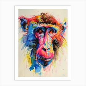 Baboon Colourful Watercolour 1 Art Print