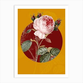 Vintage Botanical Centifolia Roses Rosa Centifolia on Circle Red on Yellow n.0206 Art Print