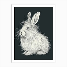 English Angora Rabbit Minimalist Illustration 3 Art Print