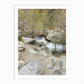 Stream In The Woods 4 Art Print