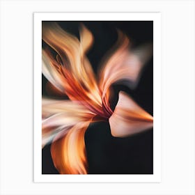 Abstract Lily Flower Art Print