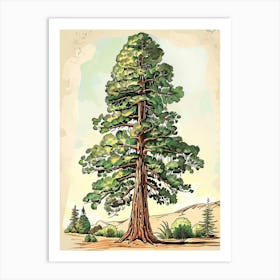 Sequoia Tree Storybook Illustration 4 Art Print