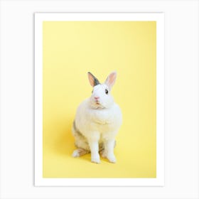 Rabbit On A Yellow Background Art Print