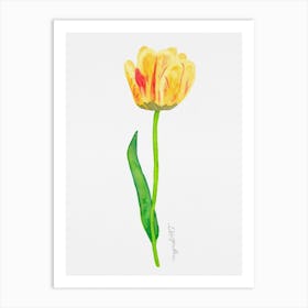 Tulip1 Art Print