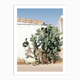 Cactus in front of Ibiza House // Ibiza Nature & Travel Photography Art Print