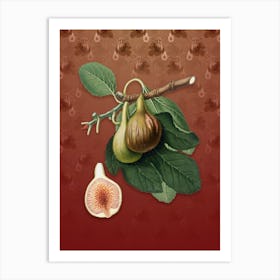 Vintage Fig Botanical on Falu Red Pattern n.2082 Art Print