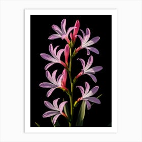 Pink Flower On A Black Background Art Print