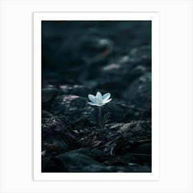 White Flower In The Dark 43 Art Print