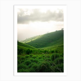 Green Hills In The Rain Forest Art Print