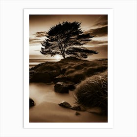 Lone Tree 29 Art Print