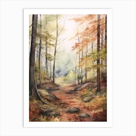 Autumn Forest Landscape The Thuringian Forest Germany Art Print