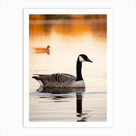 Canadian Geese 30 Art Print